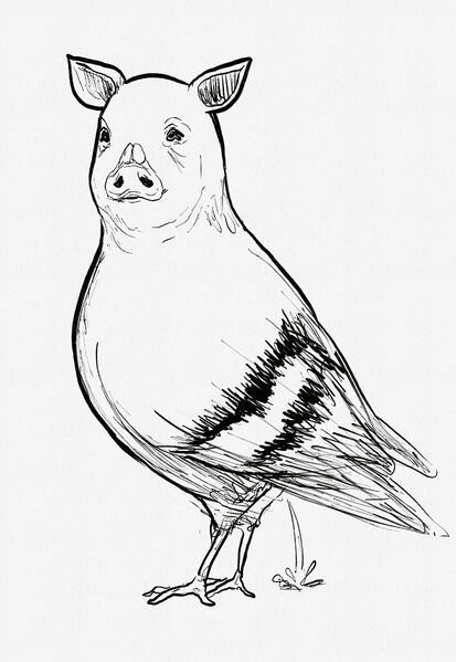 2022 pig-eon