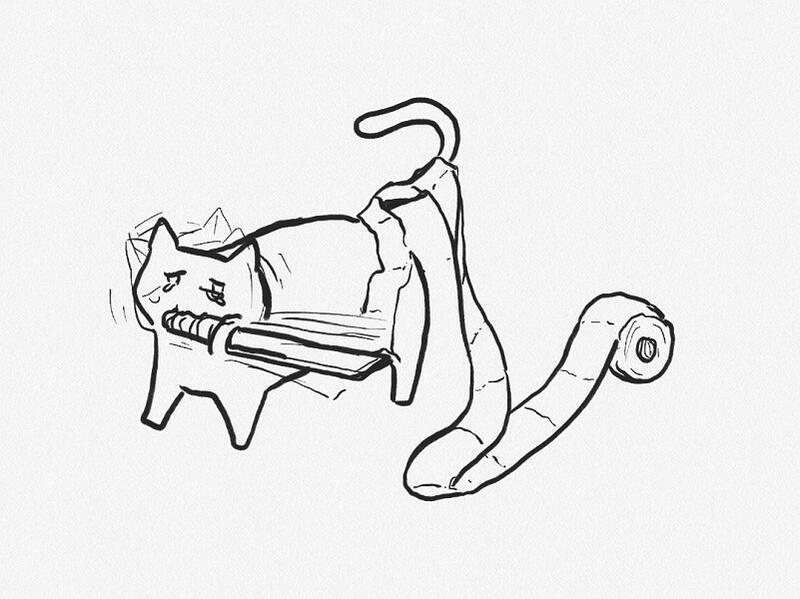 stuck catto
